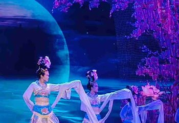 陕西歌舞大剧院非遗《仿唐乐舞》第 29 张图片