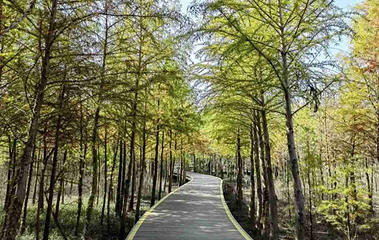 西沙明珠湖景区第 24 张图片