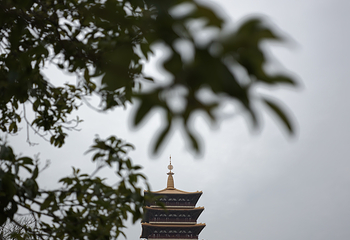 牛首山文化旅游区第 223 张图片