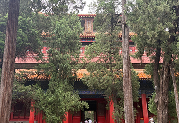 孔庙第 43 张图片