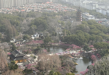 天宁宝塔第 51 张图片