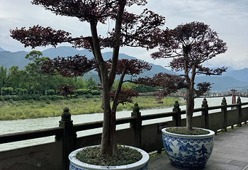 都江堰景区第 215 张图片