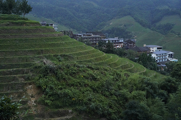 龙脊梯田第 155 张图片