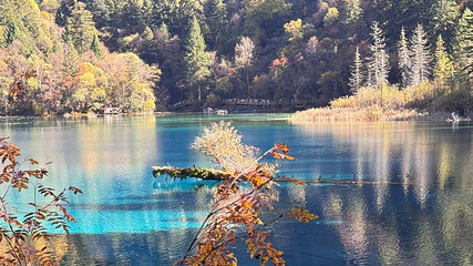 九寨沟风景区第 485 张图片