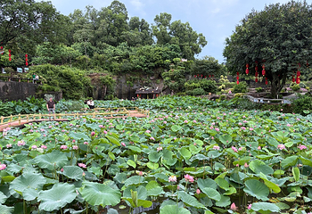 莲花山旅游区第 16 张图片