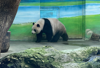 台北市立动物园第 7 张图片