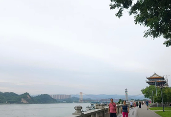 滨江公园第 136 张图片