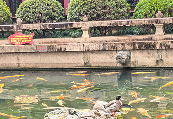 寒山寺第 165 张图片