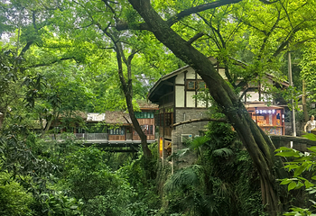 金刚碑·温泉老村第 48 张图片