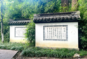 玄武湖景区第 84 张图片
