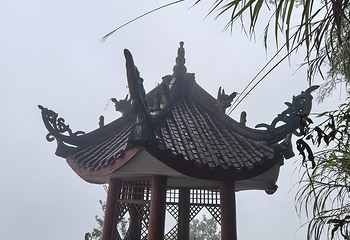 蜀南竹海第 93 张图片