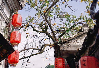 宏村景区第 354 张图片