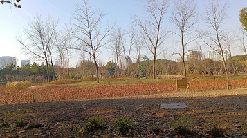 世纪公园-鸟类保护区