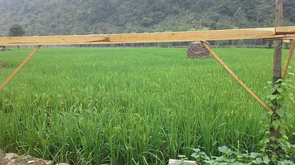 黄龙洞景区-田园牧歌第 1 张图片