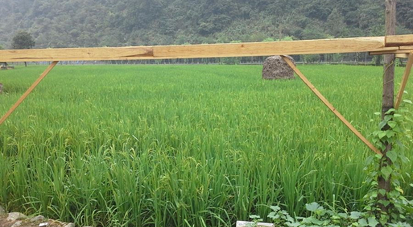 黄龙洞景区-田园牧歌