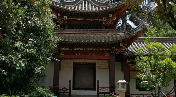 东寺塔茶花园-常乐寺塔