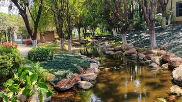 开远热带植物园