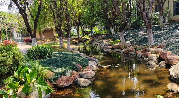 开远热带植物园