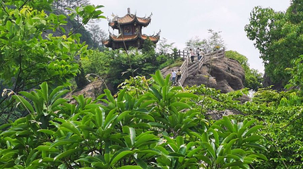 修竹书院-鲤鱼背第 1 张图片