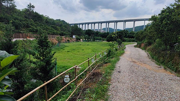 营男营女露营基地