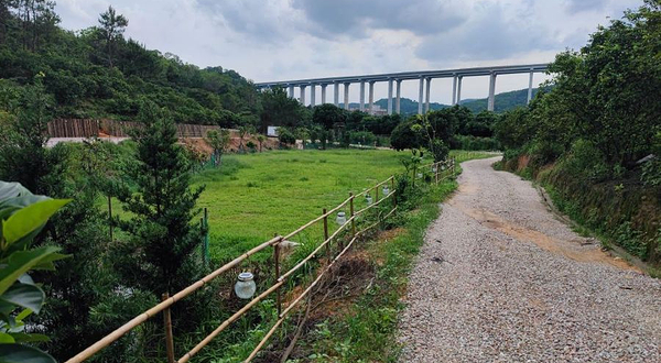 营男营女露营基地