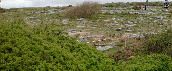 Poulnabrone Dolmen第 8 张图片