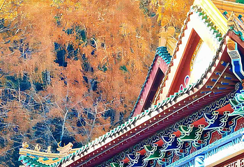 天目山自然保护区第 81 张图片
