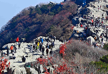 泰山风景区第 113 张图片