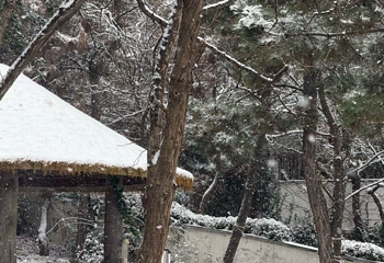 鲁商知春湖温泉第 26 张图片