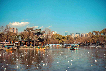 翠湖公园第 10 张图片