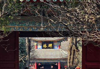 西安碑林博物馆第 121 张图片