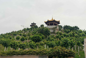 三亚南山文化旅游区第 88 张图片