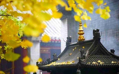 八大处公园第 48 张图片