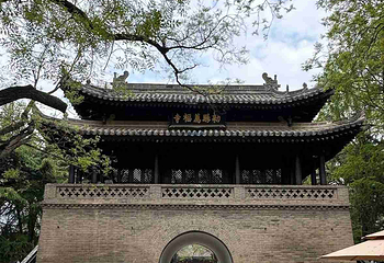 小雁塔遗址公园第 78 张图片