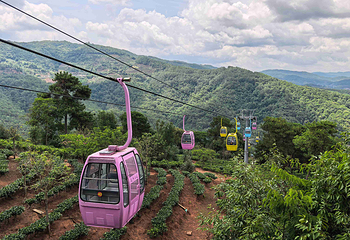 普洱茶马古道遗址公园第 87 张图片
