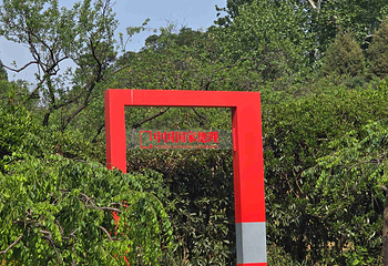 钟山风景名胜区第 102 张图片