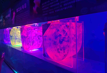 重庆融创海世界第 95 张图片