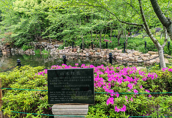鲁迅公园第 19 张图片