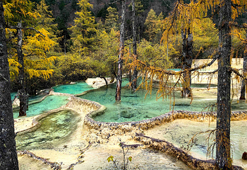 黄龙风景名胜区第 34 张图片