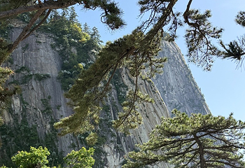华山第 224 张图片