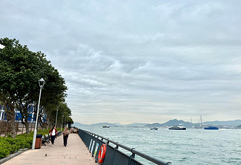 香港港澳码头第 74 张图片