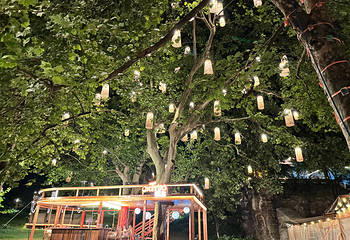 鸡公山景区第 33 张图片
