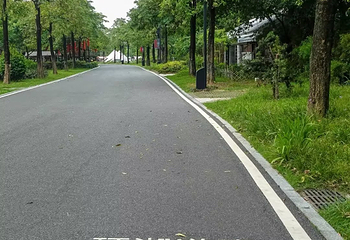 海珠湖公园第 34 张图片