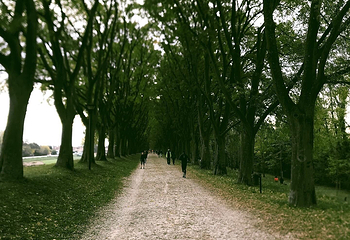 Le Mura di Ferrara第 18 张图片