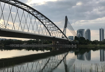 斯里绍加纳大桥第 5 张图片