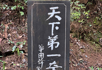 张家界国家森林公园第 283 张图片