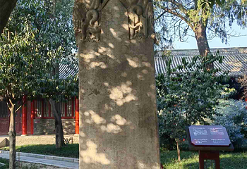 西安碑林博物馆第 172 张图片