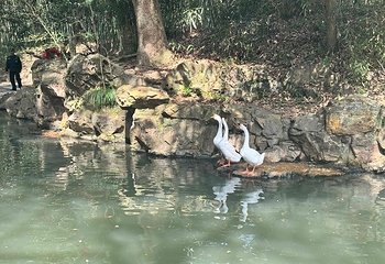 兰亭景区第 100 张图片