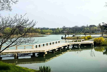 瘦西湖第 250 张图片
