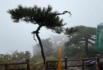 九华山风景区第 98 张图片